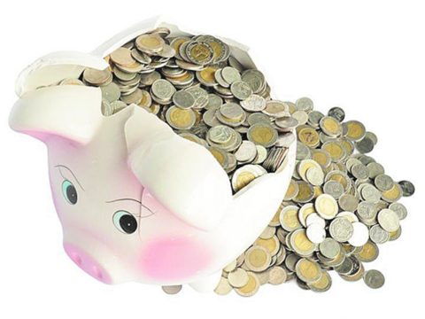 Oddílové členské příspěvky kategorie minižáci