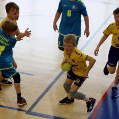 Jarní turnaj minižáků a přípravek, SH Zruč nad Sázavou