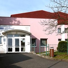 Kam za zručskou házenou