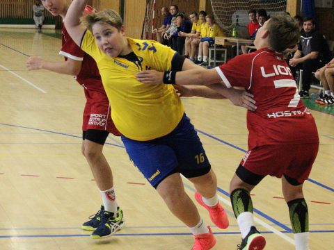 Aktuální výsledkový servis házené