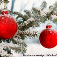 Přejeme Vám všem klidné a pohodové Vánoce 2021