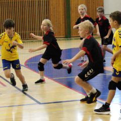 Sobota 5. února 2022 – přípravný turnaj minižáků v házené 4+1 v Kutné Hoře