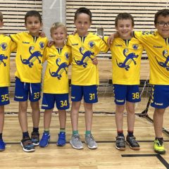 Turnaj přípravek v házené v rámci oslav 60 let od založení HC Kolín