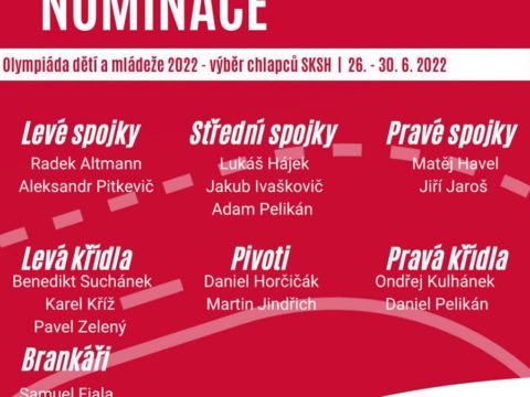 Martin Jindřich z Jiskry Zruč nad Sázavou reprezentoval Středočeský kraj v týmu házené