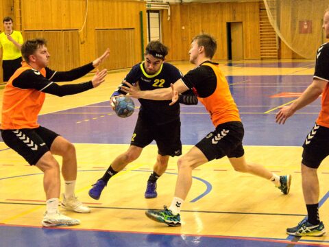 Házenkáři Jiskry porazili Chrudim. Střelcem utkání Adam Petrík, skóroval 13x